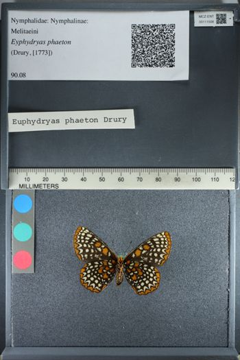 Media type: image;   Entomology 111508